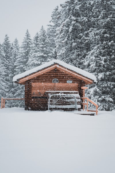 雪地上的棕色木屋